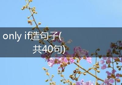 only if造句子(共40句)