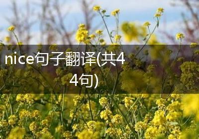 nice句子翻译(共44句)