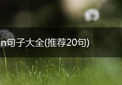 n句子大全(推荐20句)