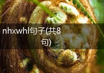 nhxwhl句子(共8句)