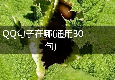 QQ句子在哪(通用30句)