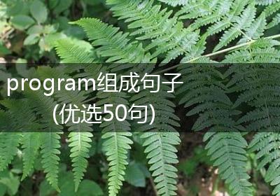 program组成句子(优选50句)