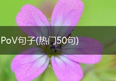 PoV句子(热门50句)