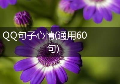 QQ句子心情(通用60句)