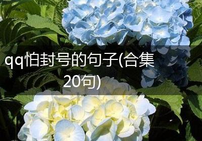 qq怕封号的句子(合集20句)