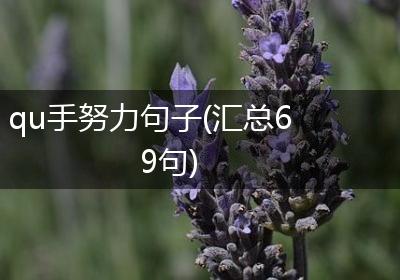 qu手努力句子(汇总69句)