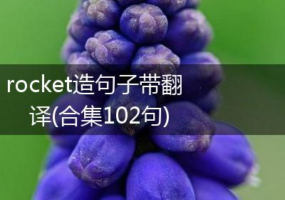 rocket造句子带翻译(合集102句)