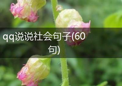qq说说社会句子(60句)