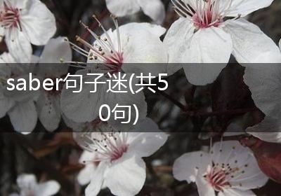 saber句子迷(共50句)