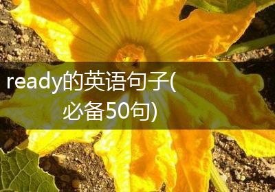 ready的英语句子(必备50句)