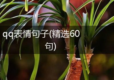 qq表情句子(精选60句)