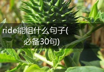 ride能组什么句子(必备30句)