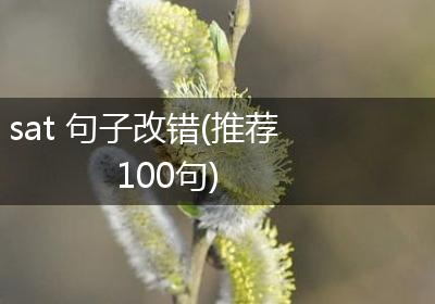 sat 句子改错(推荐100句)