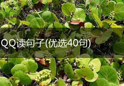 QQ读句子(优选40句)