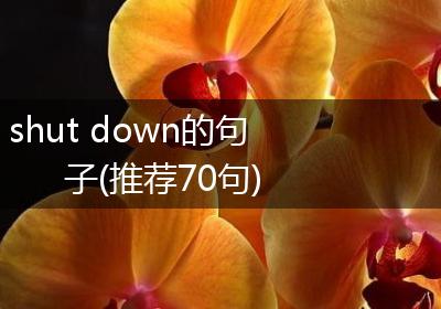 shut down的句子(推荐70句)