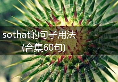 sothat的句子用法(合集60句)