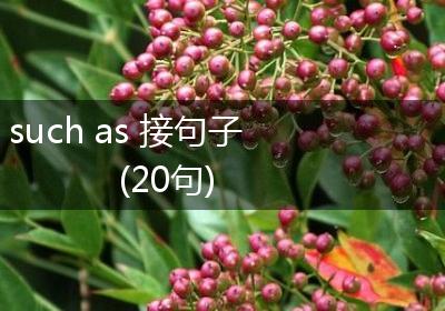 such as 接句子(20句)