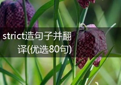 strict造句子并翻译(优选80句)