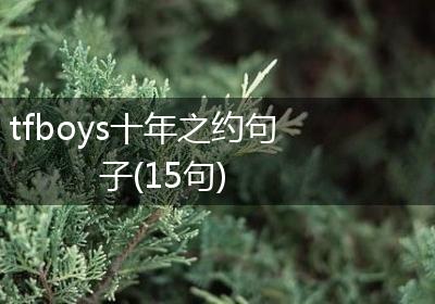 tfboys十年之约句子(15句)