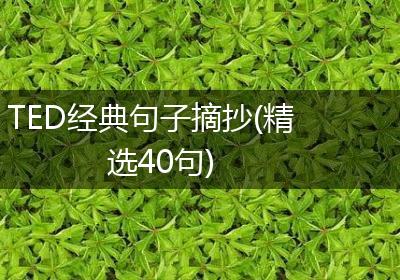 TED经典句子摘抄(精选40句)