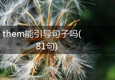 them能引导句子吗(81句)