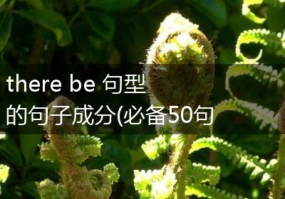 there be 句型的句子成分(必备50句)