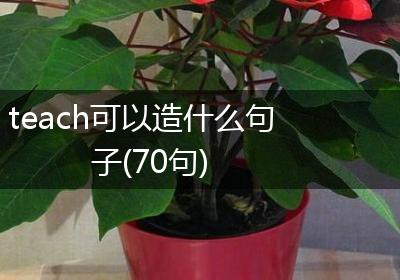 teach可以造什么句子(70句)