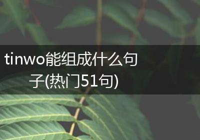 tinwo能组成什么句子(热门51句)