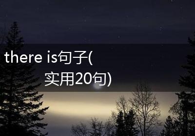 there is句子(实用20句)