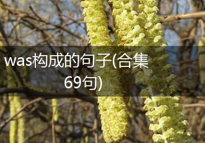 was构成的句子(合集69句)