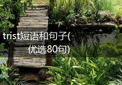 trist短语和句子(优选80句)