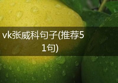 vk张威科句子(推荐51句)