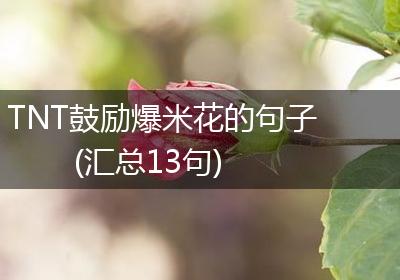 TNT鼓励爆米花的句子(汇总13句)