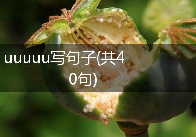 uuuuu写句子(共40句)