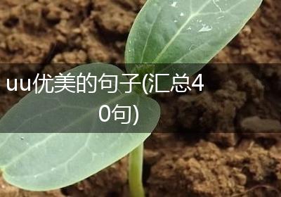 uu优美的句子(汇总40句)