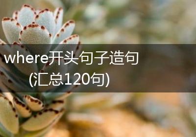where开头句子造句(汇总120句)