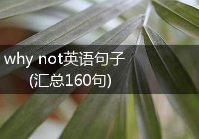 why not英语句子(汇总160句)