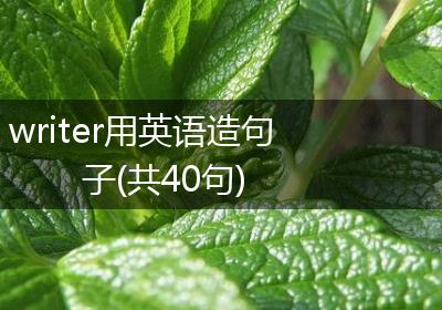 writer用英语造句子(共40句)