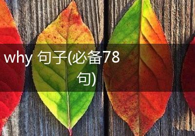 why 句子(必备78句)