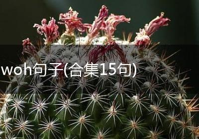 woh句子(合集15句)