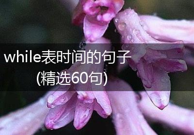 while表时间的句子(精选60句)