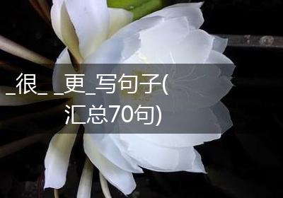 _很_ _更_写句子(汇总70句)