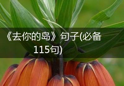 《去你的岛》句子(必备115句)