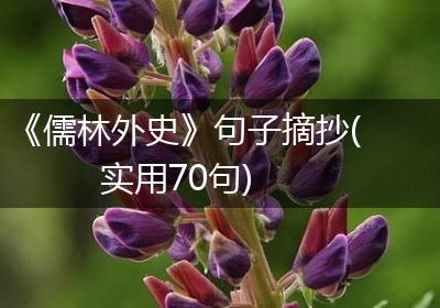 《儒林外史》句子摘抄(实用70句)