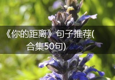 《你的距离》句子推荐(合集50句)