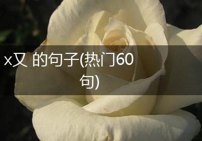 x又 的句子(热门60句)