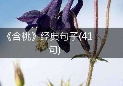 《含桃》经典句子(41句)