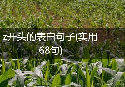 z开头的表白句子(实用68句)