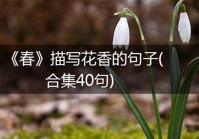 《春》描写花香的句子(合集40句)