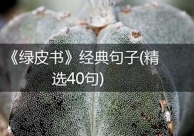 《绿皮书》经典句子(精选40句)